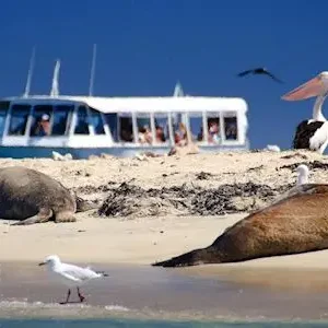 Dundee Adventure Travel | Margaret River and Wildlife Adventure 43255-ef83d249-9017-4d46-a827-de971c93d04e-thumbnail