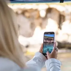 Dundee Adventure Travel | Margaret River and Wildlife Adventure 43255-f08aaeb0-8fd5-4ba9-b8dd-11a46ac75537-thumbnail