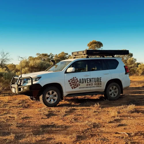 45092-41efc256-41f4-40ab-8ebd-8142953764cd-fullsize