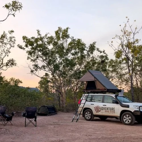 45092-b4082b3b-67d9-40ab-a8ea-ccb5cc652af1-fullsize