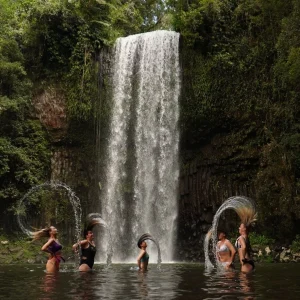swimmers in atherton tablelands waterfall rainforest queensland