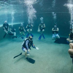 Cairns-Scuba-Diving-120