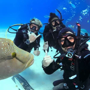 Dundee Adventure Travel | PADI Open Water Course (5 Day 2 Night Liveaboard) Cairns-Scuba-Diving-121