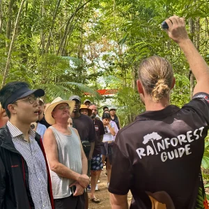 Tour guide leading rainforest walk in the Daintree rainforest