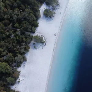 ???????????????????????