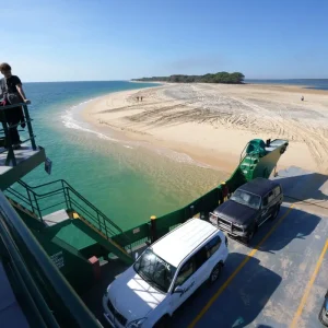 Dingos 3 Day Images_105