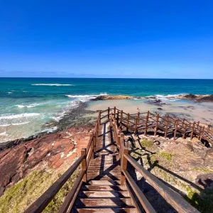 Dingos 3 Day Images_106