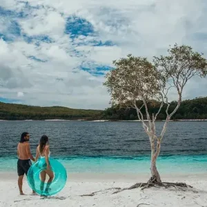 Dundee Adventure Travel | Discovery K’Gari | Fraser Island Day Tour Discovery Kgari Adventures Fraser Island 10