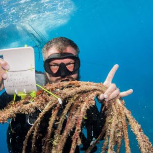 ECO-Tour-Coral-Nursery-and-Coral-planting-Tour-Passions-of-Paradise-dive-against-debris-project-aware