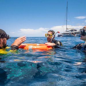 ECO-Tour-Coral-Nursery-and-Coral-planting-Tour-Passions-of-Paradise-tour-with-master-guide