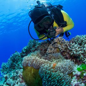 ECo-Tour-Coral-Nursery-and-Coral-planting-Tour-Passions-of-Paradise-2