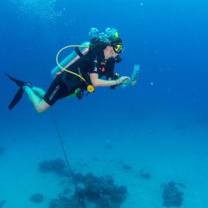 ECo-Tour-underwater-Coral-Nursery-and-Coral-planting-Tour-Passions-of-Paradise