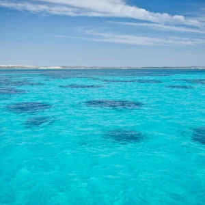 Eighty Mile pristine waters