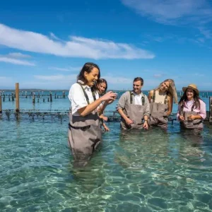 Dundee Adventure Travel | Untamed Escapes | Coffin Bay Day Tour Experience-Coffin-Bay-waders-tour-800x600
