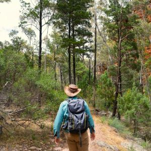 Flinders-Ranges-Alligator-Gorge-Guide-800x600