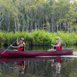 Dundee Adventure Travel | Everglades Eco Safaris | Cruise or Canoe Adventure Tour SAVE $10 Habitat-Noosa_Manuel-Freudenmann_147