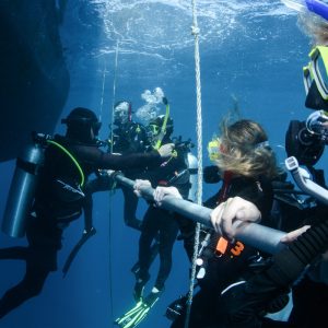 Learn-to-Scuba-Dive-Great-Barrier-Reef-120