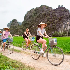 Cyclists riding through Ninh Binh rice fields Vietnam