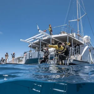 Dundee Adventure Travel | Passions of Paradise (Snorkel) Passions-of-Paradise-1