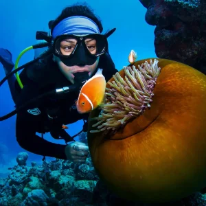 Dundee Adventure Travel | Passion of Paradise | Snorkel & Dive the Great Barrier Reef SAVE $50 Passions-of-Paradise-Snorkeling-scuba-cruises-and-eco-tours-in-Great-Barrier-Reef-9