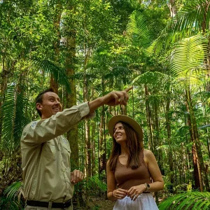 Pile-Valley-Rainforest-Kgari-formerly-Fraser-Island