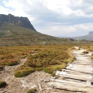 Screen Shot 2024-09-25 at 1.40.15 PM