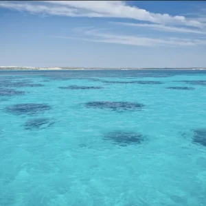 Embark on a 10-day Broome to Perth Adventure Tour