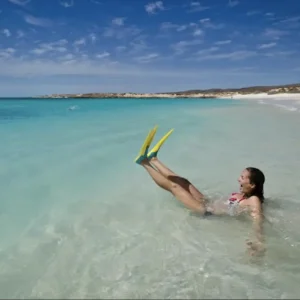 Dundee Adventure Travel | Perth to Monkey Mia & Return Screen Shot 2024-09-25 at 12.30.28 PM