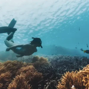 Dundee Adventure Travel | Reefsleep – Single from Hamilton Island Screen Shot 2024-09-30 at 4.35.33 PM