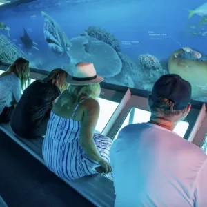 Dundee Adventure Travel | Reefsleep – Single from Hamilton Island Screen Shot 2024-09-30 at 4.35.45 PM