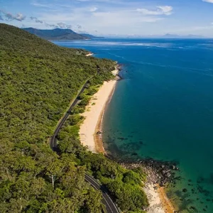 Screen Shot 2024-10-11 at 2.34.10 PM