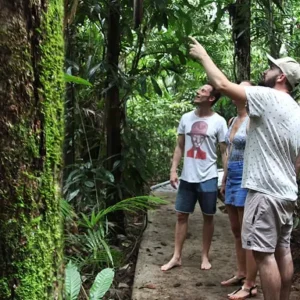 Screen Shot 2024-10-11 at 2.34.53 PM