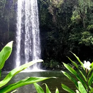 Screen Shot 2024-10-11 at 2.54.39 PM