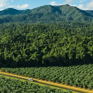 Dundee Adventure Travel | Raging Thunder – Tully River Rafting from Cairns Screen Shot 2024-10-11 at 3.46.51 PM
