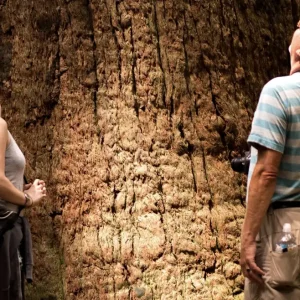 Dundee Adventure Travel | Discovery K’Gari | Fraser Island Day Tour Screen Shot 2024-10-25 at 1.14.12 PM