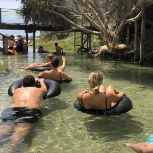 Dundee Adventure Travel | Discovery K’Gari | Fraser Island Day Tour Screen Shot 2024-10-25 at 1.14.26 PM