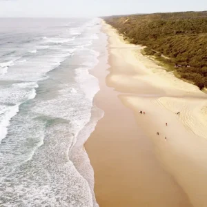 Dundee Adventure Travel | Discovery K’Gari | Fraser Island Day Tour Screen Shot 2024-10-25 at 1.14.46 PM