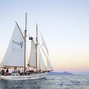 Dundee Adventure Travel | Providence Whitehaven Day Sail Screen Shot 2025-02-21 at 9.21.13 AM