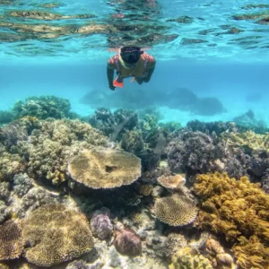 Dundee Adventure Travel | Providence Whitehaven Day Sail Screen Shot 2025-02-21 at 9.21.17 AM