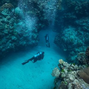 Scuba-Diving-Cairns-100