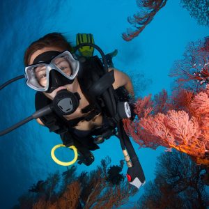 Scuba-Diving-Cairns-110