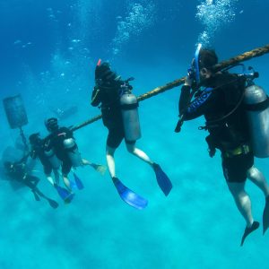 Scuba-Diving-Cairns-120-1