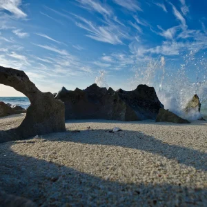 Shell-covered beach at Shark Bay Western Australia