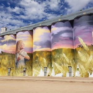 Silo-art-Kimba-2-800x600