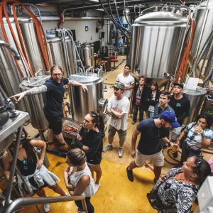 Dundee Adventure Travel | Sydney Brewery Tour | Explore 3 Craft Breweries with Tastings Sydney+Brewery+Tours