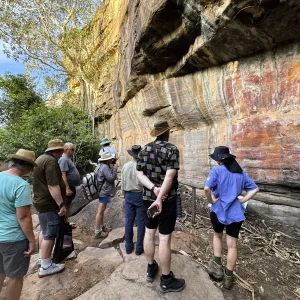 Join the kakadu katherine litchfield 4wd camping tour and see the rock art Kakadu Aboriginal paintings in Ubirr