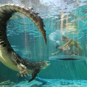 two people in Cage of Death crocodile enclosure