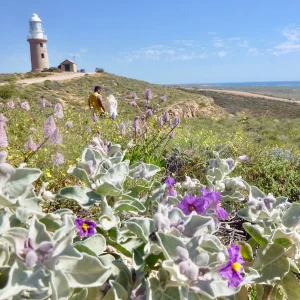Coastal views from Vlamingh Head Lighthouse in Exmouth
