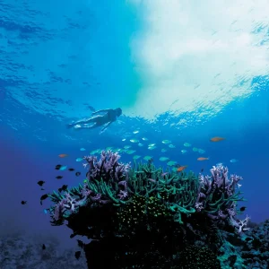 Whitsunday-Getaway-Luxury-Catamaran-Sailing-2-uai-1490x1490