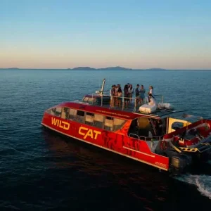 Dundee Adventure Travel | Wildcat Mackay Wildcat-Sunset-Cruise-3